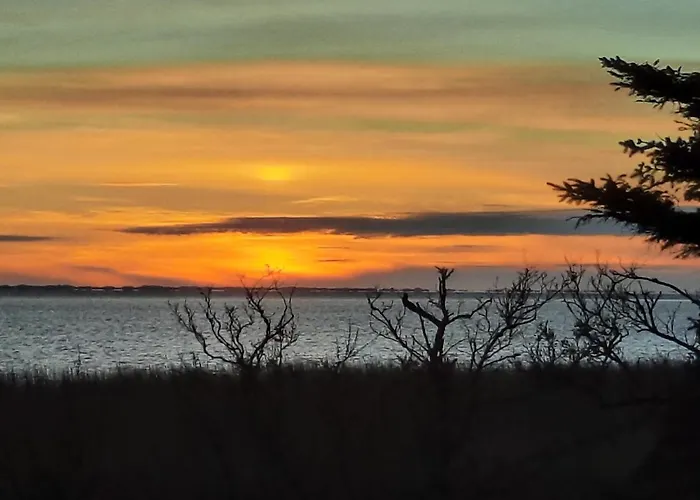 Ringkøbing Fjord Landsted Skjern